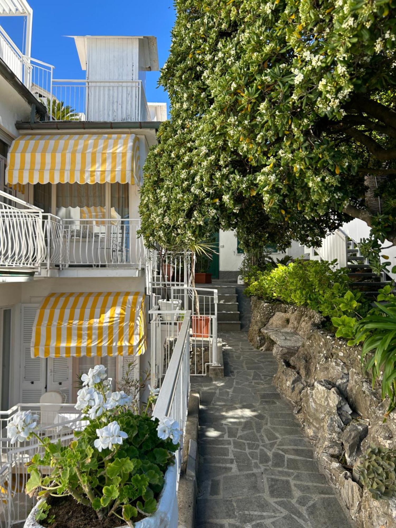 Hotel Helvetia Sestri Levante Esterno foto
