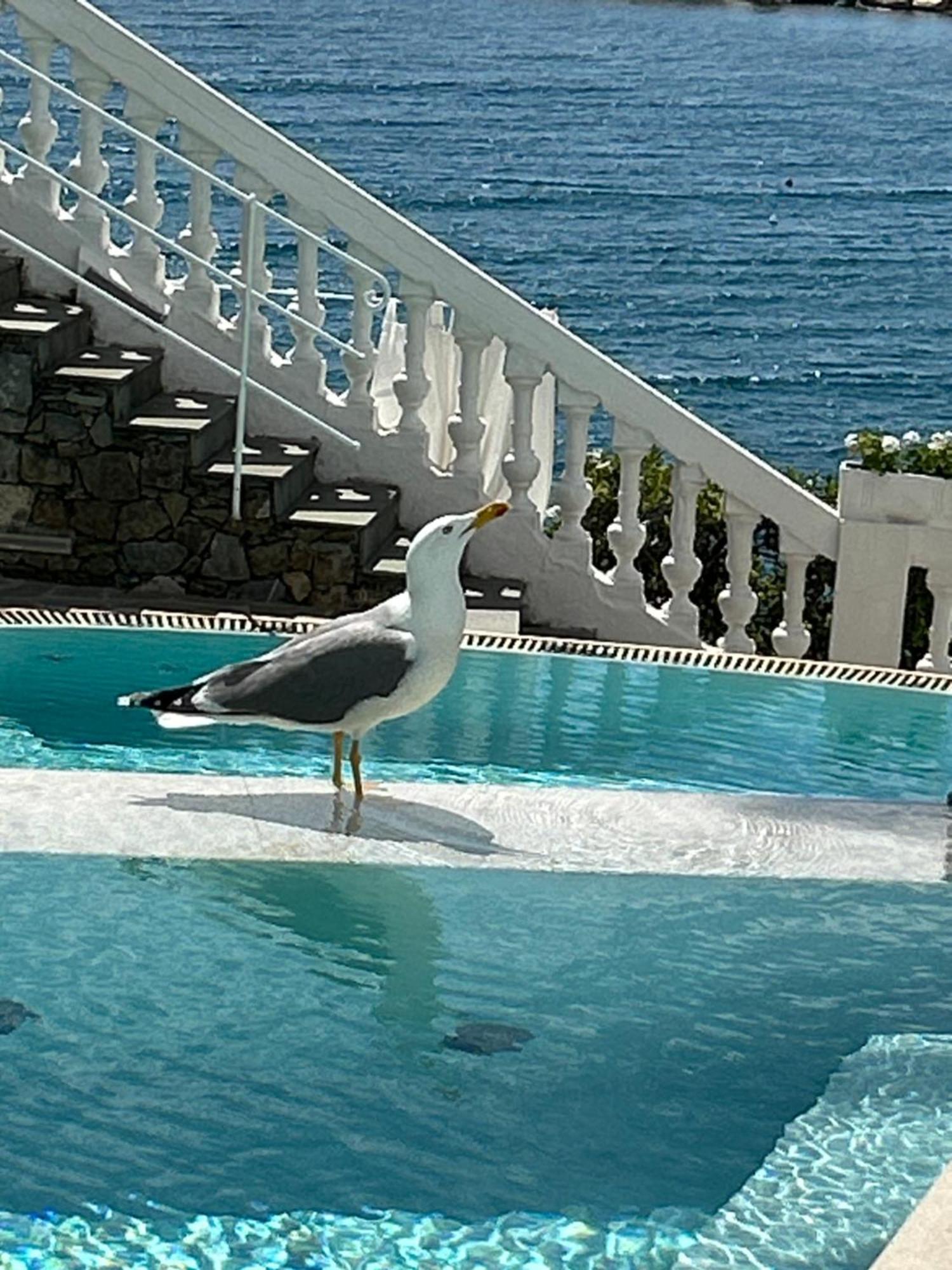 Hotel Helvetia Sestri Levante Esterno foto